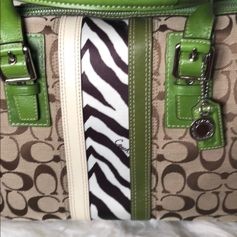 NWOT Beautiful Animal Striped Coach Bag - Picture 6 of 8